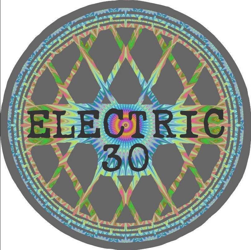Electric 30 logo