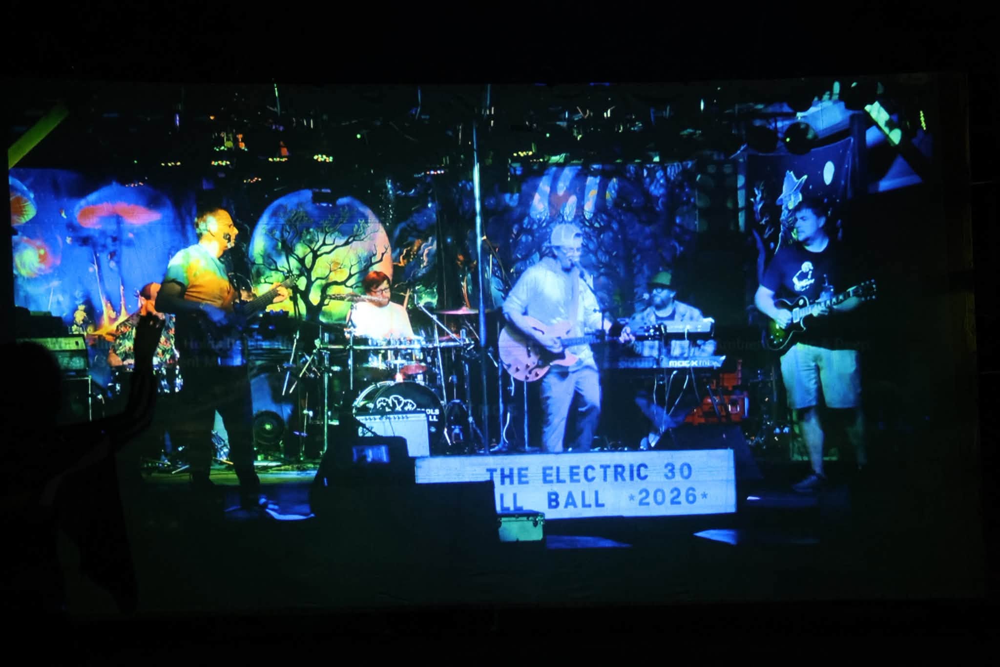 Electric 30 at the Fall Ball, photo 1